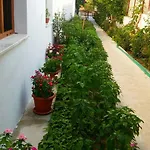 Tavilogullari 3*