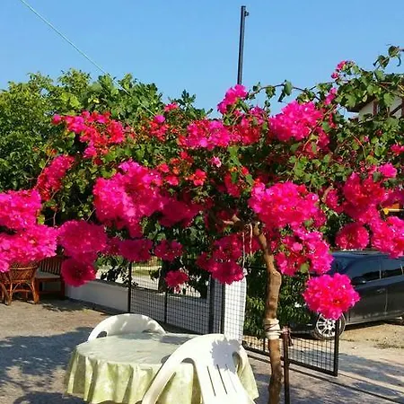 Tavilogullari شقة فندقية
