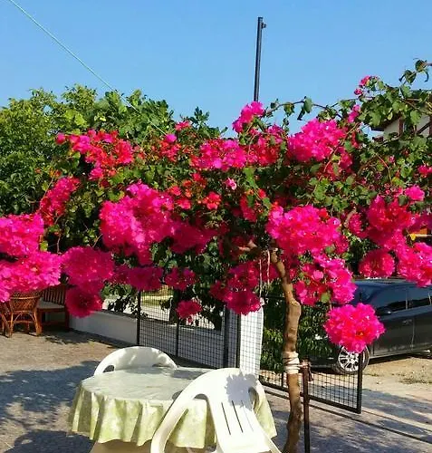 Tavilogullari Apart-hotel